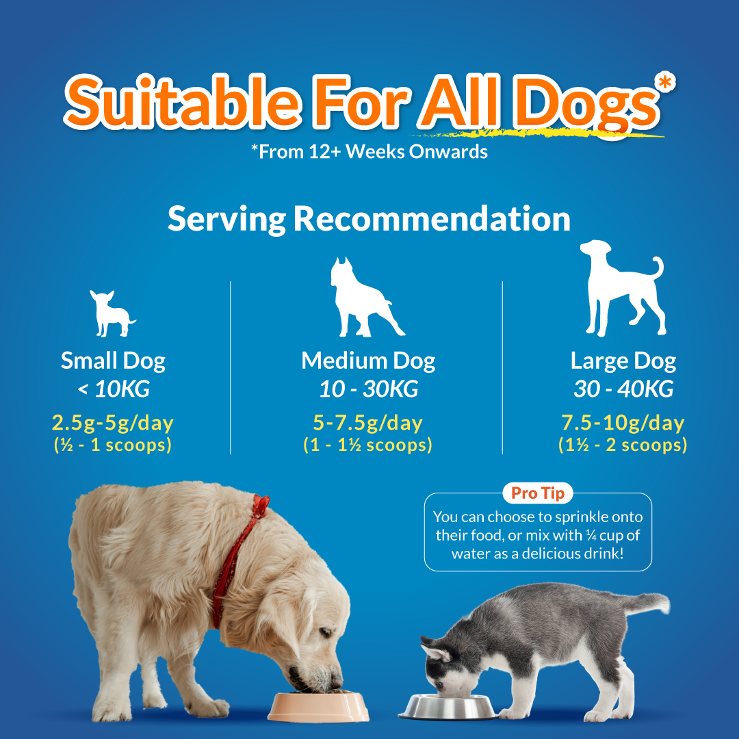 FurryWell Pre & Probiotics 🐶