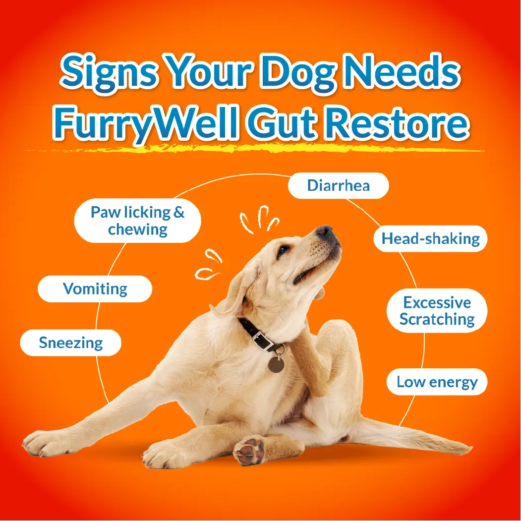 FurryWell Gut Restore