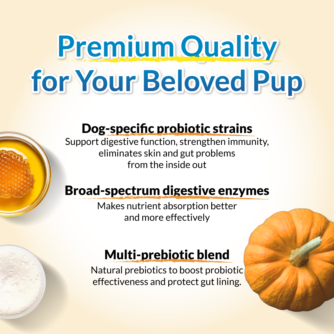 FurryWell Pre & Probiotics 🐶